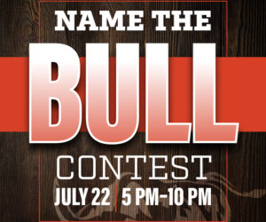 Cadillac Ranch Name the Bull Contest