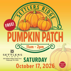 Pumpkin Patch